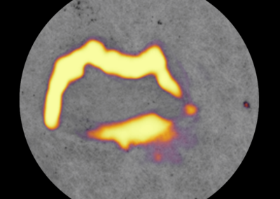 Retina A.I. Vision for Industrial Quality Inspection